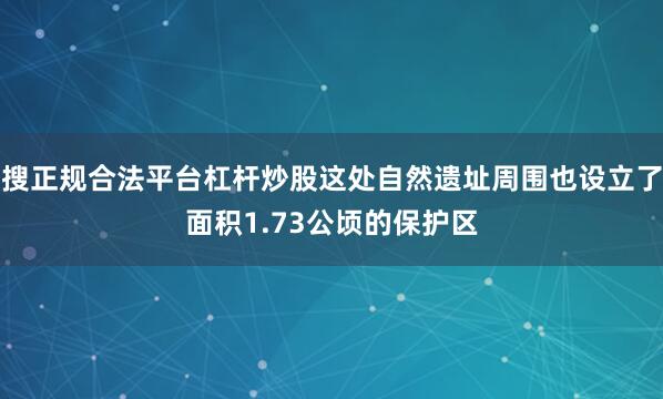 搜正规合法平台杠杆炒股这处自然遗址周围也设立了面积1.73公顷的保护区