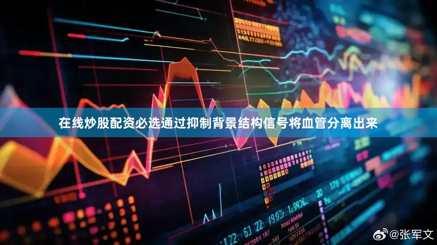 在线炒股配资必选通过抑制背景结构信号将血管分离出来