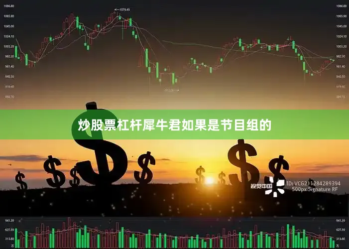炒股票杠杆犀牛君如果是节目组的
